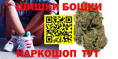 прущие грибы Малгобек