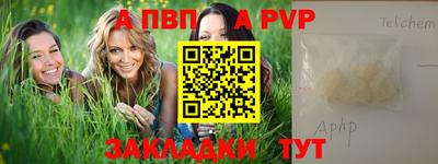 прущие грибы Малгобек
